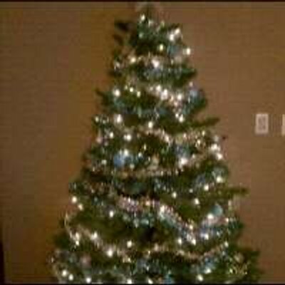 Profile Picture of Anthony Miers (@Anthonymiers) on Twitter