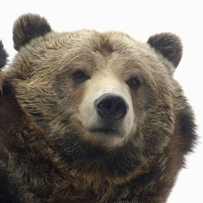 Profile Picture of Mark (@ZMarkLauridsen) on Twitter