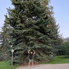 Profile Picture of David Resendez (@dresendez_3) on Tiktok