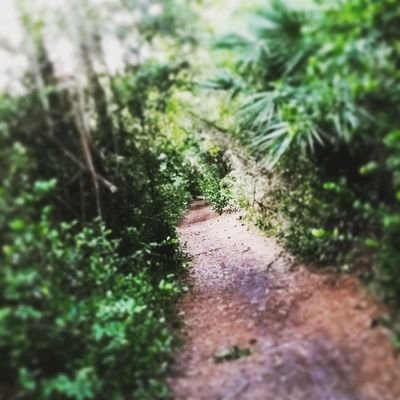 Profile Picture of Jason Ritter (@JasonRitterr) on Twitter