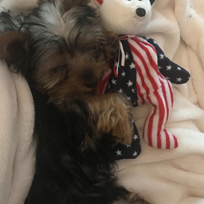 Profile Picture of Vanprice (@Vanpric60504005) on Twitter