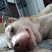 Profile Picture of Ron Kemmer (@ron.kemmer.7) on Facebook