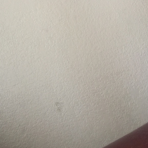 Mikaela Brown - Poshmark Profile Picture of Mikaela Brown (@mikaelabrown5) on Poshmark