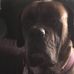 Profile Picture of Robert Dollar (@robert.dollar.56) on Facebook