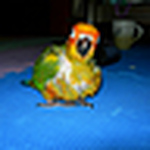 Profile Picture of Sapy Chen (@gash8881) on Flickr