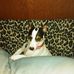Profile Picture of Mindy Hendrix (@mindy.hendrix.10) on Facebook