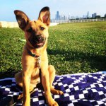 Profile Picture of John Hoeffler (@coach_hoeffler) on Instagram