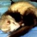 Profile Picture of Matthew Tarver (@matthew.tarver.503) on Facebook