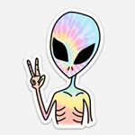 Savannah 🌿 - Instagram Profile Picture of Savannah 🌿 (@savannah.maxwell) on Instagram