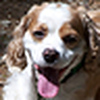 Profile Picture of Ted Trask (@Ted Trask Jr.) on Flickr