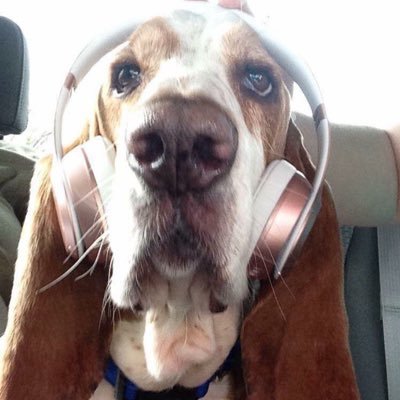 Profile Picture of larry phillippe (@PhillippeLarry) on Twitter