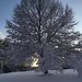 Profile Picture of Nasrin Parsaei (@nasrin0968) on Pinterest