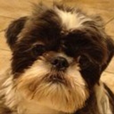 Profile Picture of Christopher Russell (@DamianRussell) on Twitter