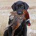 Profile Picture of Keith Packer (@keith.packer.710) on Facebook