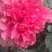 Profile Picture of Maria Cutee (@maria.cutee.9026) on Facebook