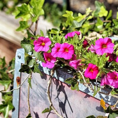 Profile Picture of Darin Boyd (@DarinBoyd215) on Twitter