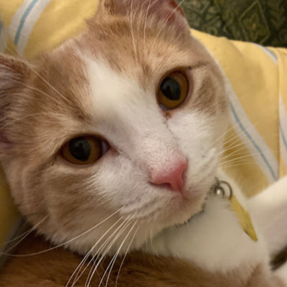 Profile Picture of Honora Toothman (@ocean_nora) on Poshmark