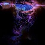 Profile Picture of Victoria Schreiber (@vschreiber1) on Instagram