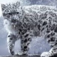 Profile Picture of Tyler Coats (@tyler-coats-1) on Quora