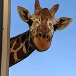 Profile Picture of julia jasso (@julias_other_account02) on Instagram