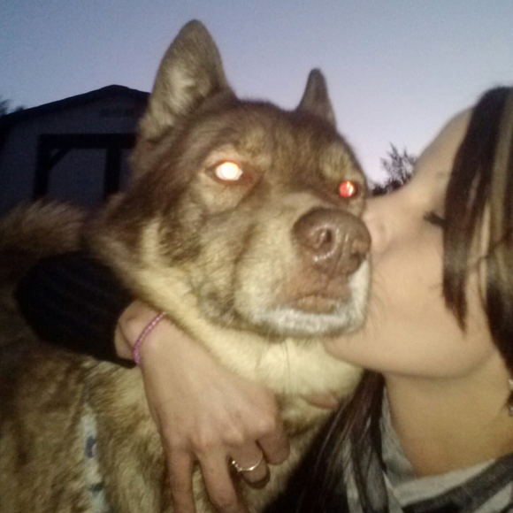 Profile Picture of Crystal Stickley (@crystaaal9116) on Poshmark