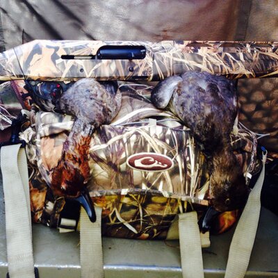 Profile Picture of Scott C. Eardley (@Eardster3_3) on Twitter