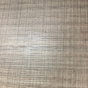 Joseph Massaro - Youtube Profile Picture of Joseph Massaro (@josephmassaro5570) on Youtube