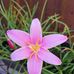 Profile Picture of Diane Bryon Meyer (@diane.meyer.739) on Facebook