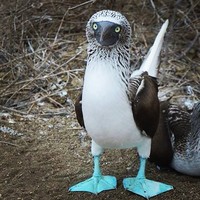 Profile Picture of Devin Olmack (@devin-olmack) on Quora