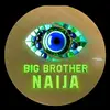 Profile Picture of Bigbrother Naija Livestream (@jamescrush55) on Tiktok