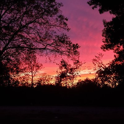 Profile Picture of Melissa Gene Crowell (@keemew2) on Twitter