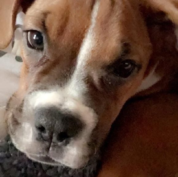 Profile Picture of Shelly Hanson (@shellyhanson943) on Poshmark