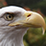 Profile Picture of Andrew Conway (@misterajc) on Flickr
