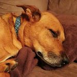 Profile Picture of Brian Schlatter (@schmos27) on Instagram