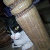 Profile Picture of Ian Acosta (@ian-acosta-10) on Quora