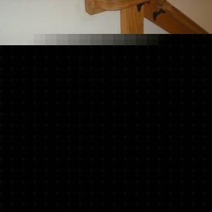 Profile Picture of Dylan Denman (@denman60) on Myspace