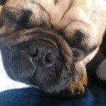 Profile Picture of Conor Perry (@conor_perry2000) on Instagram