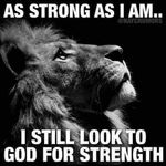 Profile Picture of Jose Arocho (@josearocho7117) on Instagram