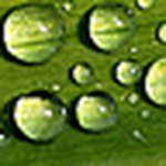 Profile Picture of Lisa Jones (@eye lens photography) on Flickr