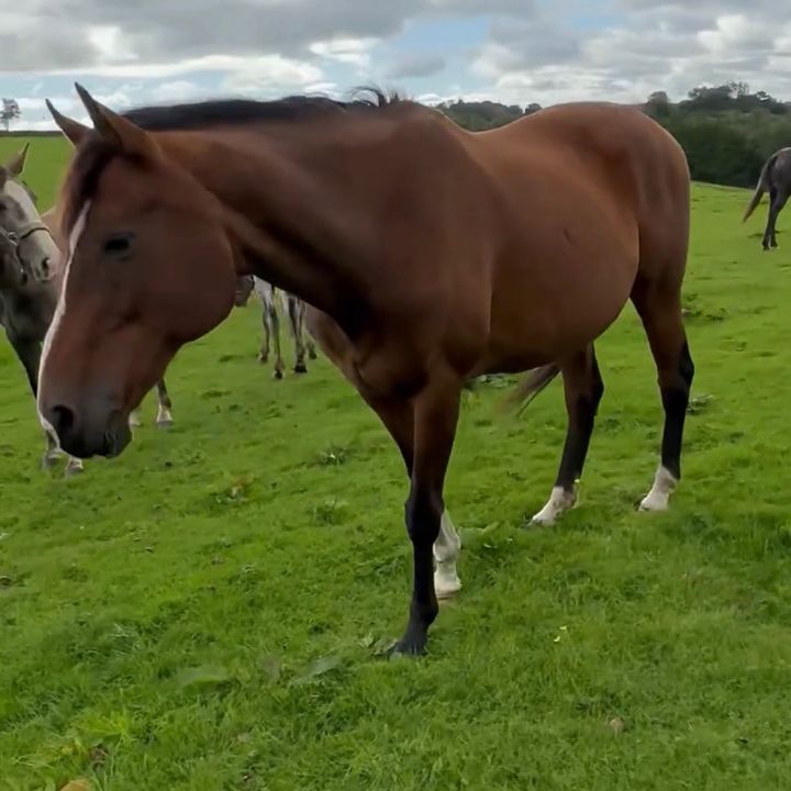 Profile Picture of Kezzaaa (@kezbed) on Tiktok