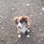 Profile Picture of Bowden.martin (@bowden_martin0440) on Instagram