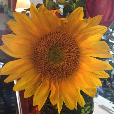 Profile Picture of April Donahue (@@donahue_april) on Twitter