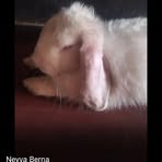 Profile Picture of Janet Paredes (@Janet-Paredes) on Facebook