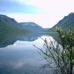 Profile Picture of Ted Jönsson (@jonssonted) on Instagram