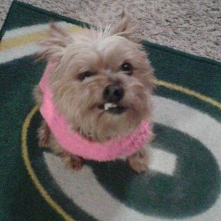 Profile Picture of Kim Trzecinski (@kim.trzecinski) on Facebook