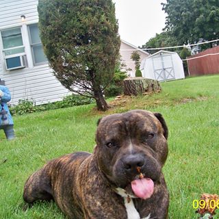 Profile Picture of Jimmy Keever (@jimmy.keever.7) on Facebook