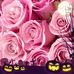 Profile Picture of Renee Correll (@renee.correll.9) on Facebook