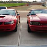 Profile Picture of Matthew Burden (@mustangs_and_beer) on Instagram