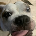 Profile Picture of Nicholas Garrison (@Nicholas-Garrison) on Facebook