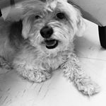 Profile Picture of June Hamer (@hamer.june) on Instagram